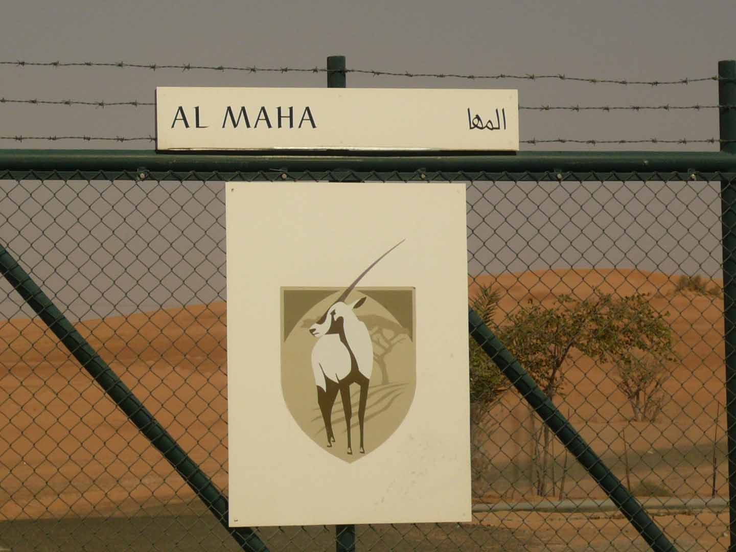 Dubai_Al-Maha_Slideshow_029