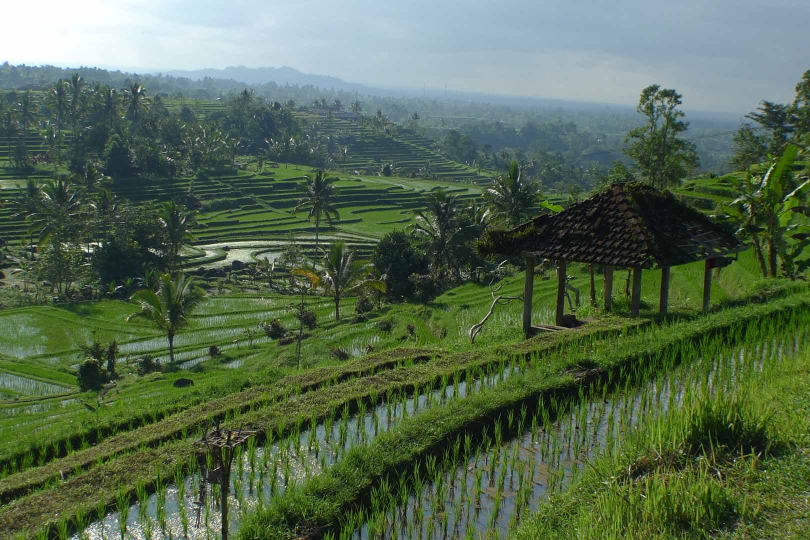 Bali_Hotspots_Slideshow_004