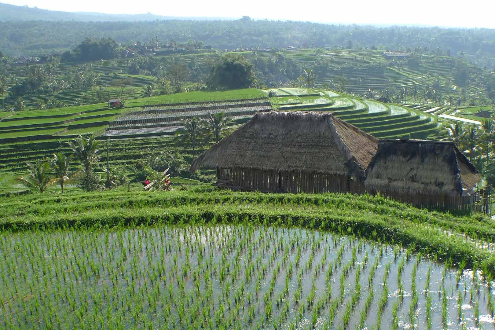 Bali_Hotspots_Slideshow_006
